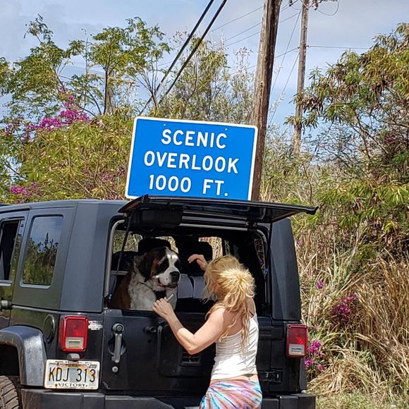 Meet your Posher, Marley - Picture 1 of 1